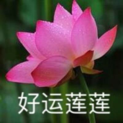 萌宝快跑手游下载